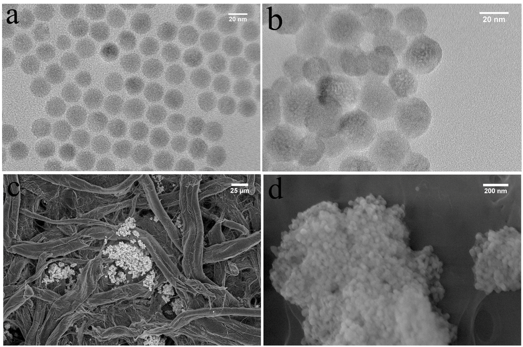 Nanomaterials 05 01556 g001 1024