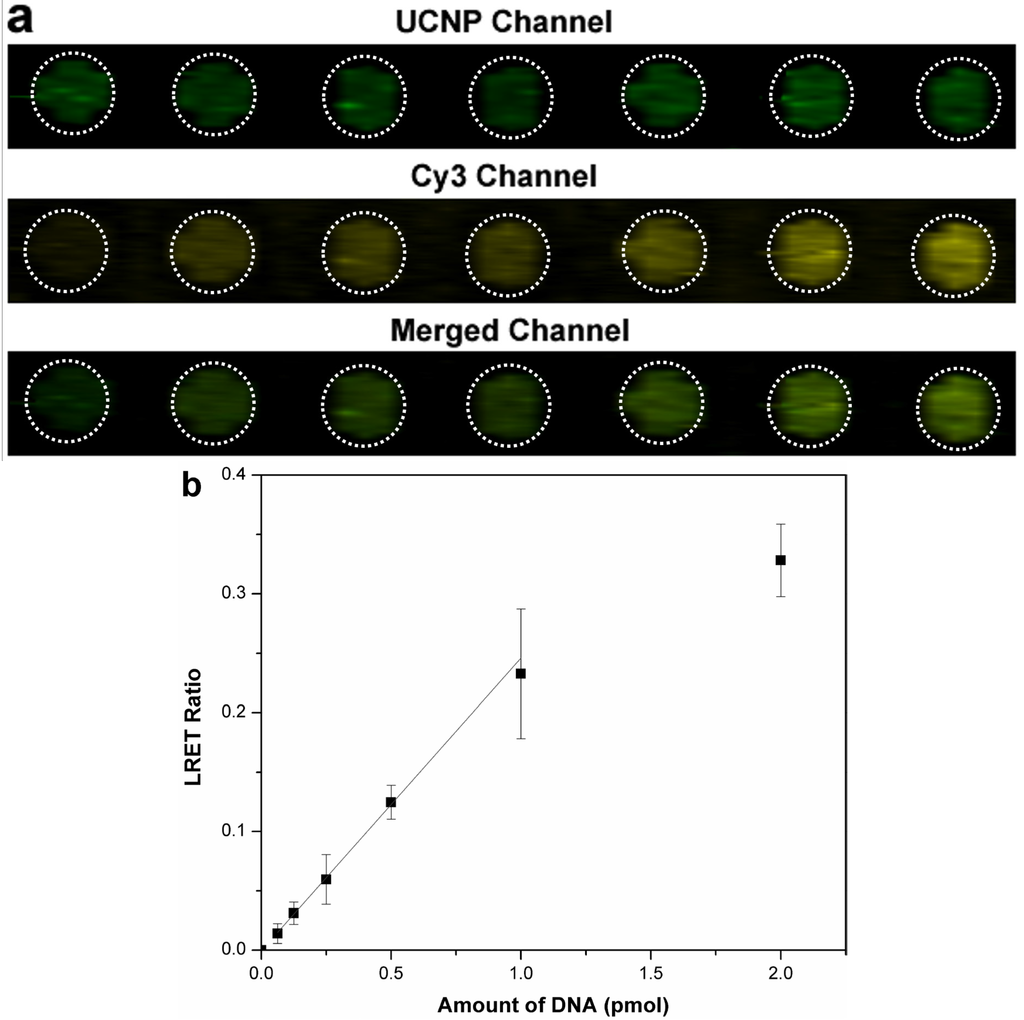 Nanomaterials 05 01556 g003 1024