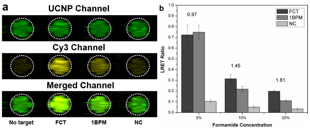 Nanomaterials 05 01556 g004 1024