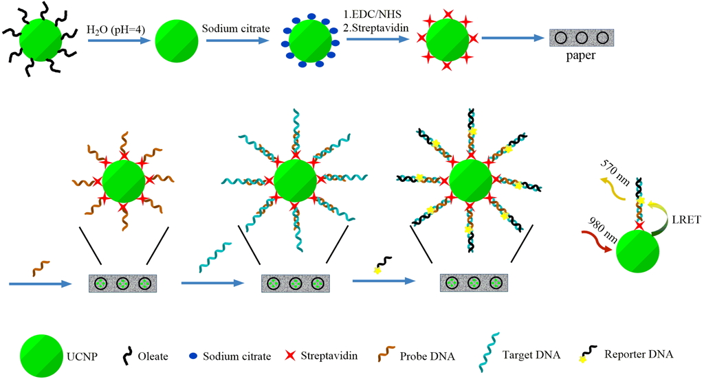 Nanomaterials 05 01556 g006 1024