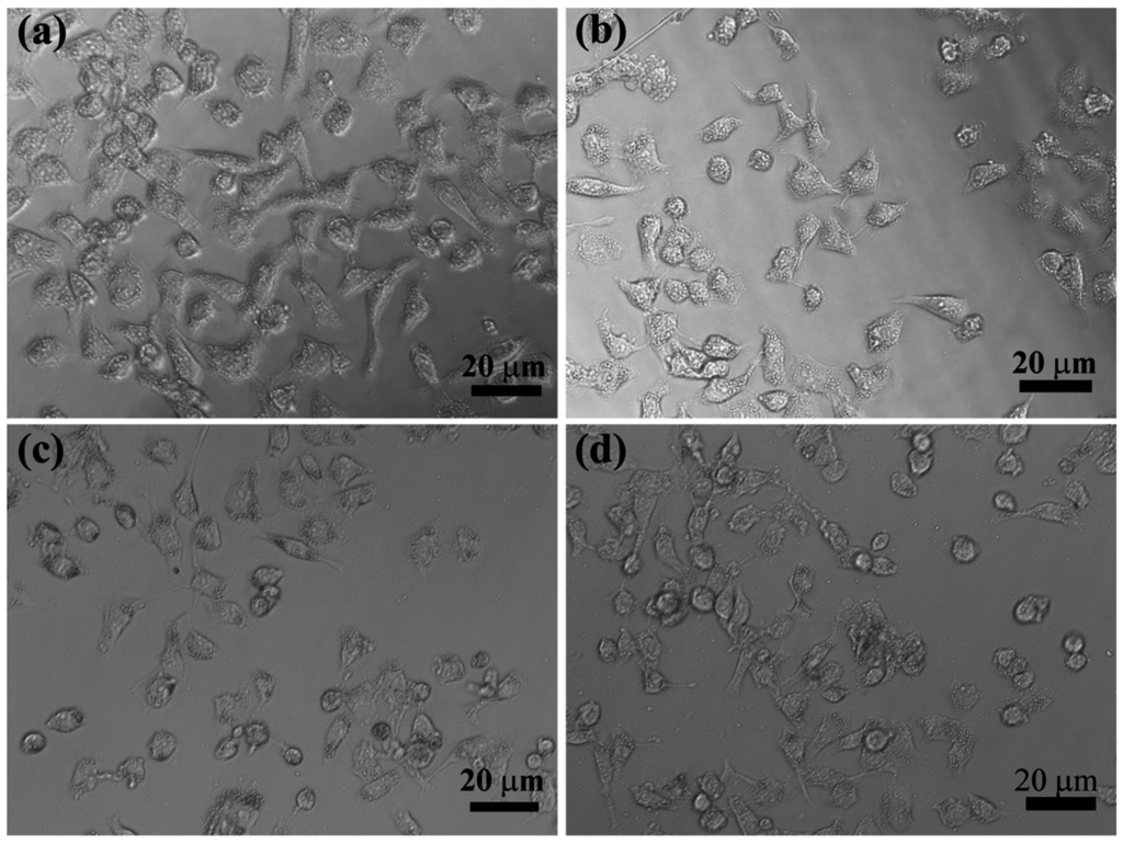 Nanomaterials 05 01716 g008 1024