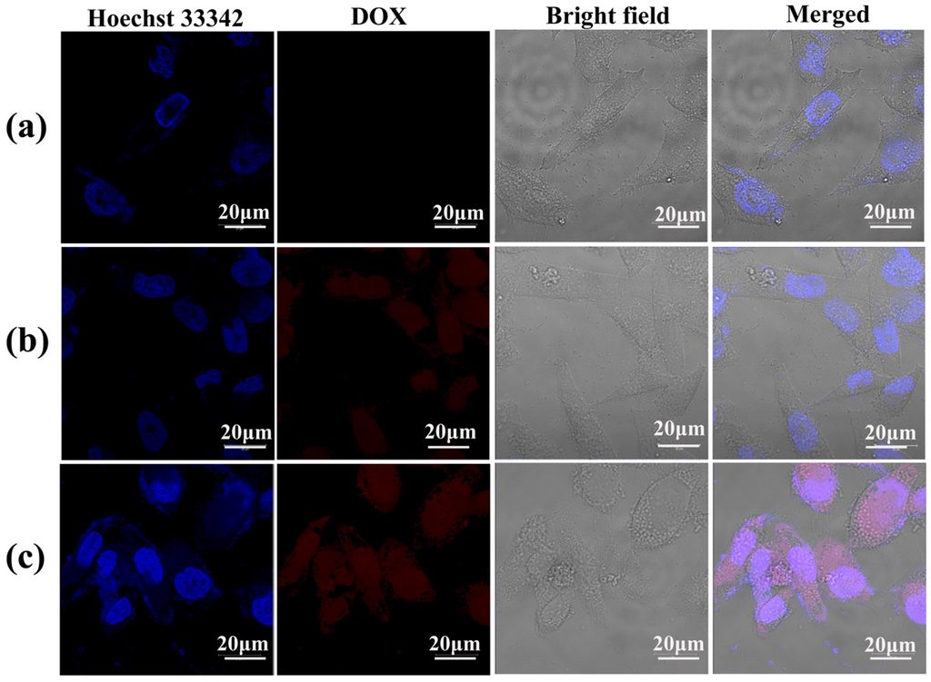 Nanomaterials 05 01716 g009 1024