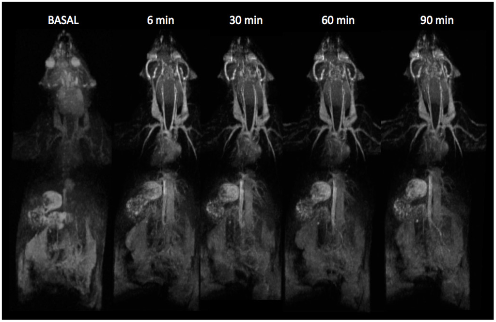 Nanomaterials 05 01880 g003 1024