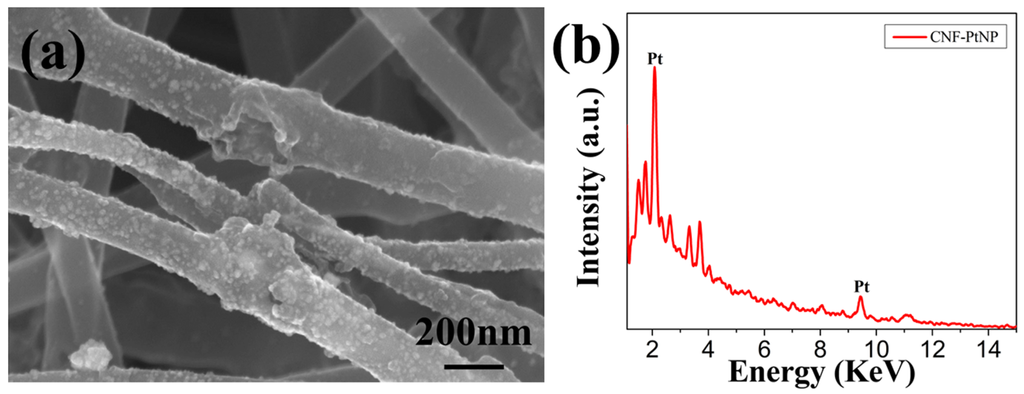 Nanomaterials 05 01891 g005 1024