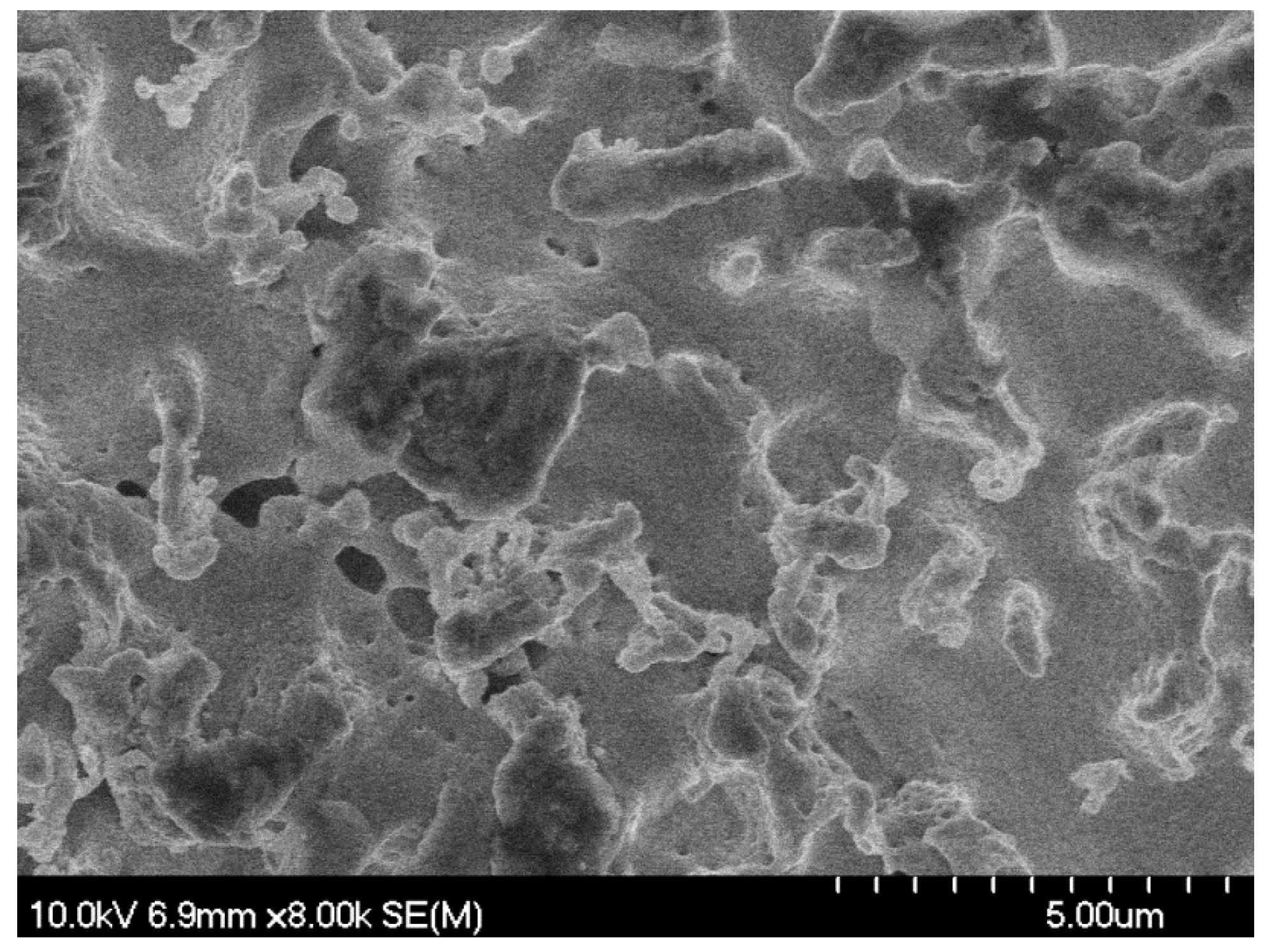 Nanomaterials 05 02007 g005
