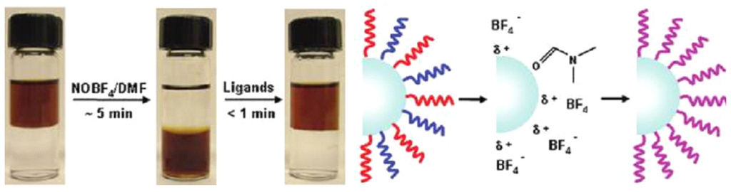Nanomaterials 05 02148 g008 1024