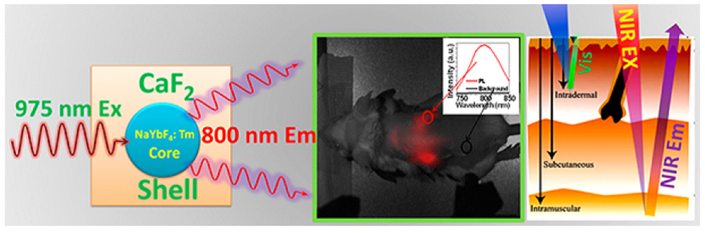 Nanomaterials 05 02148 g010 1024