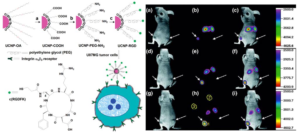 Nanomaterials 05 02148 g011 1024