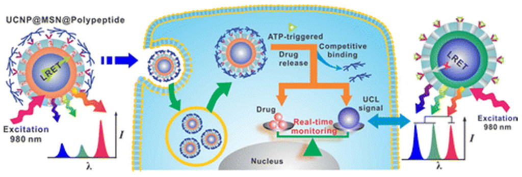 Nanomaterials 05 02148 g013 1024