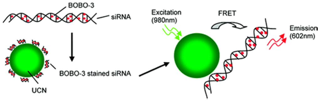 Nanomaterials 05 02148 g014 1024
