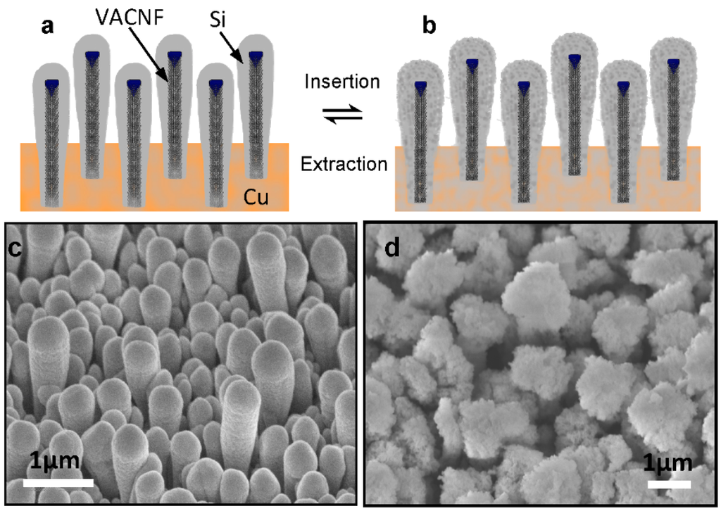 Nanomaterials 05 02268 g001 1024