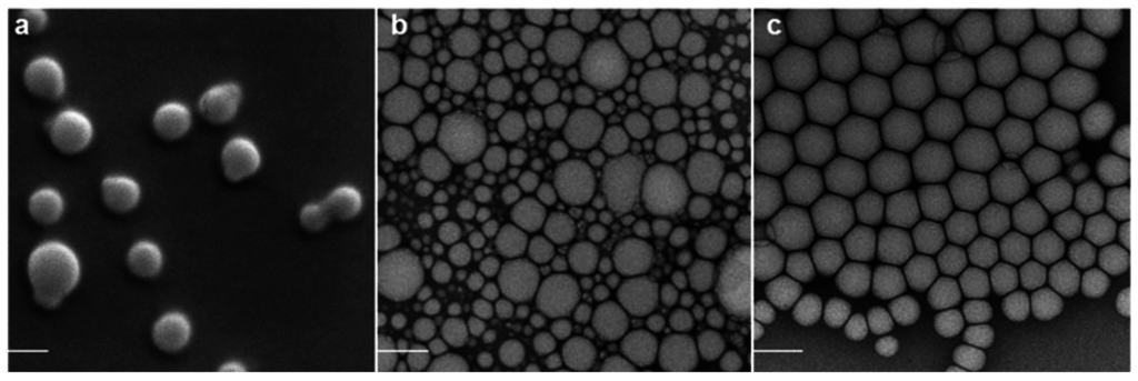 Nanomaterials 05 02317 g001a 1024