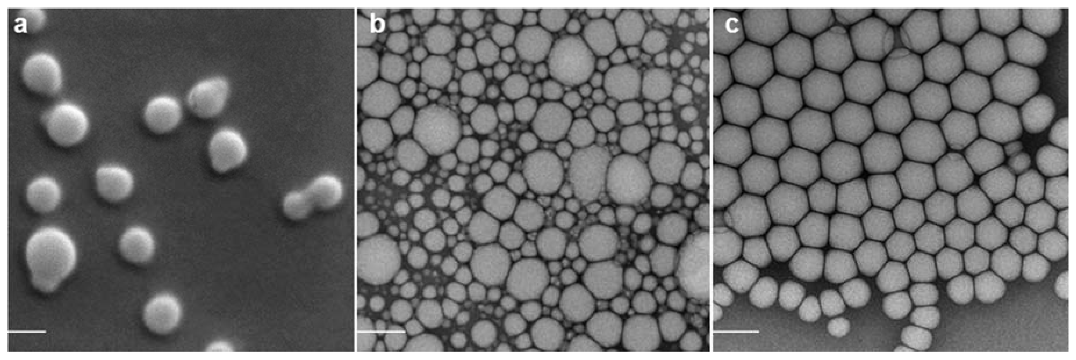 Nanomaterials 05 02317 g001a
