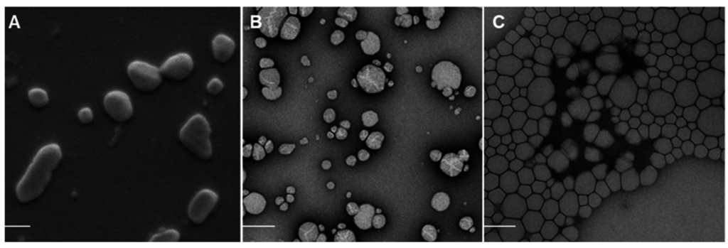 Nanomaterials 05 02317 g001b 1024