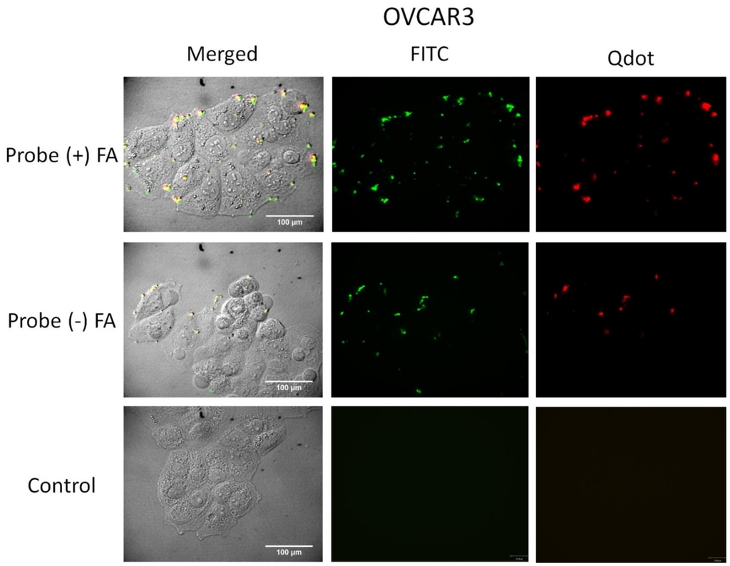 Nanomaterials 05 02359 g005 1024
