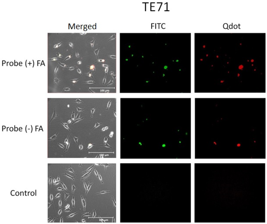 Nanomaterials 05 02359 g006 1024