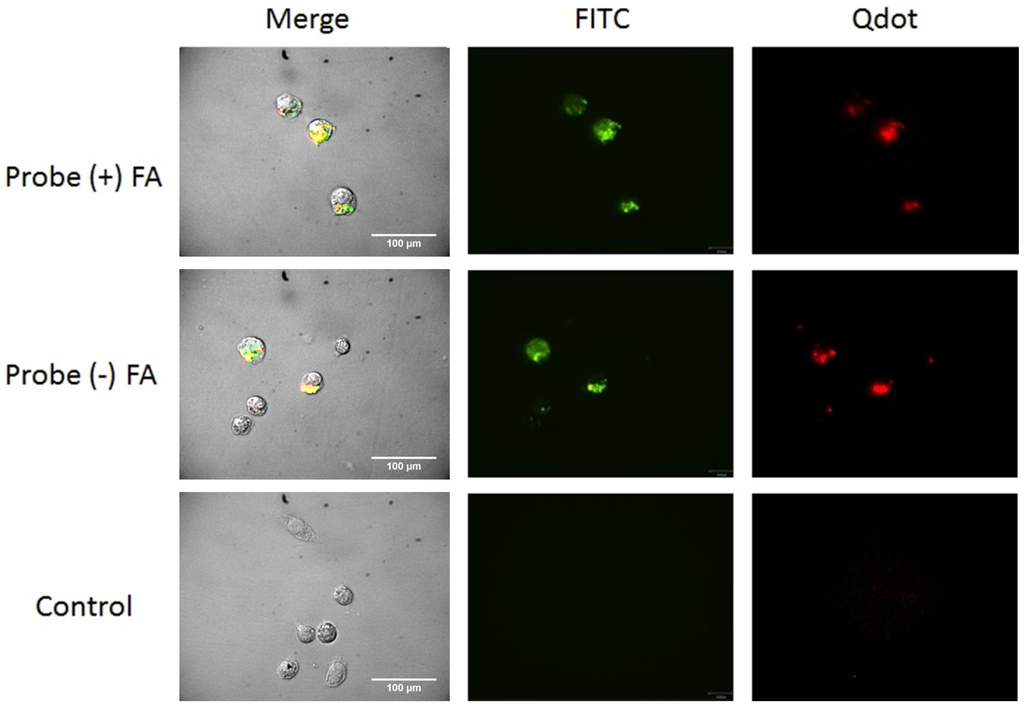 Nanomaterials 05 02359 g007 1024