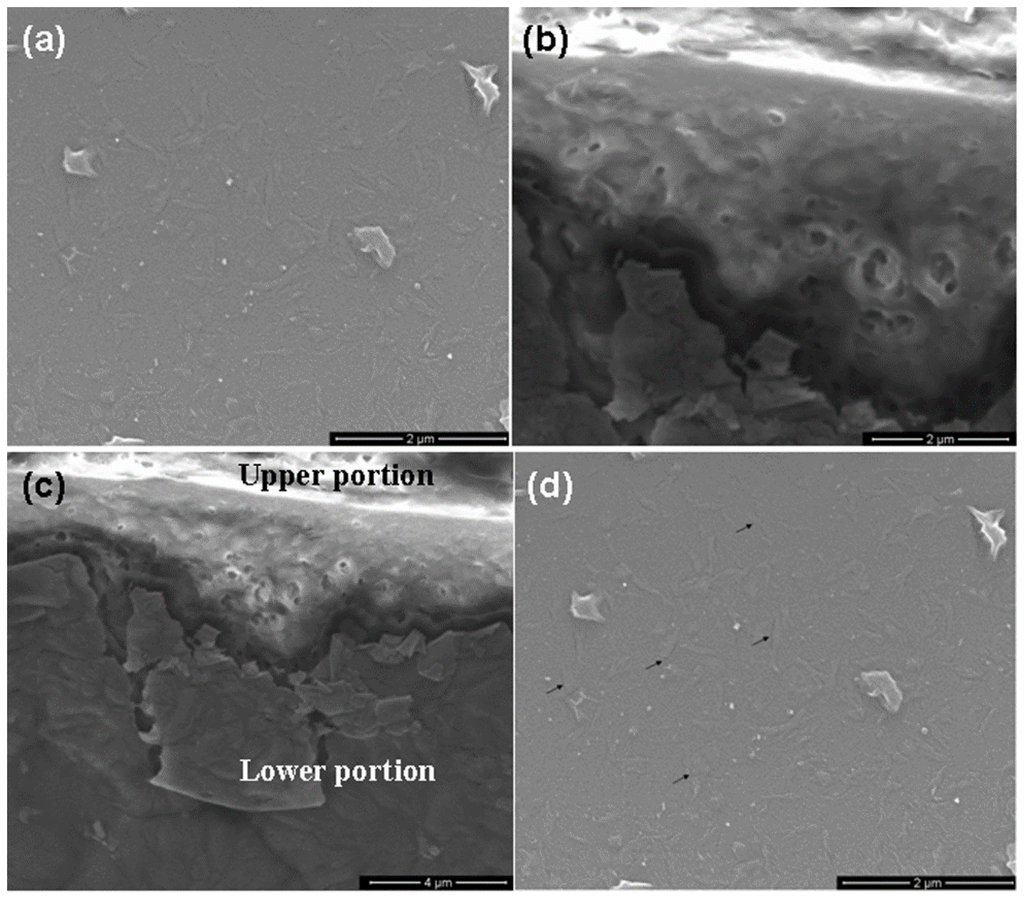 Nanomaterials 06 00004 g004 1024