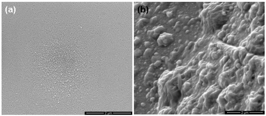 Nanomaterials 06 00004 g005 1024
