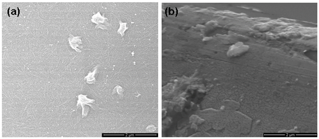 Nanomaterials 06 00004 g006 1024