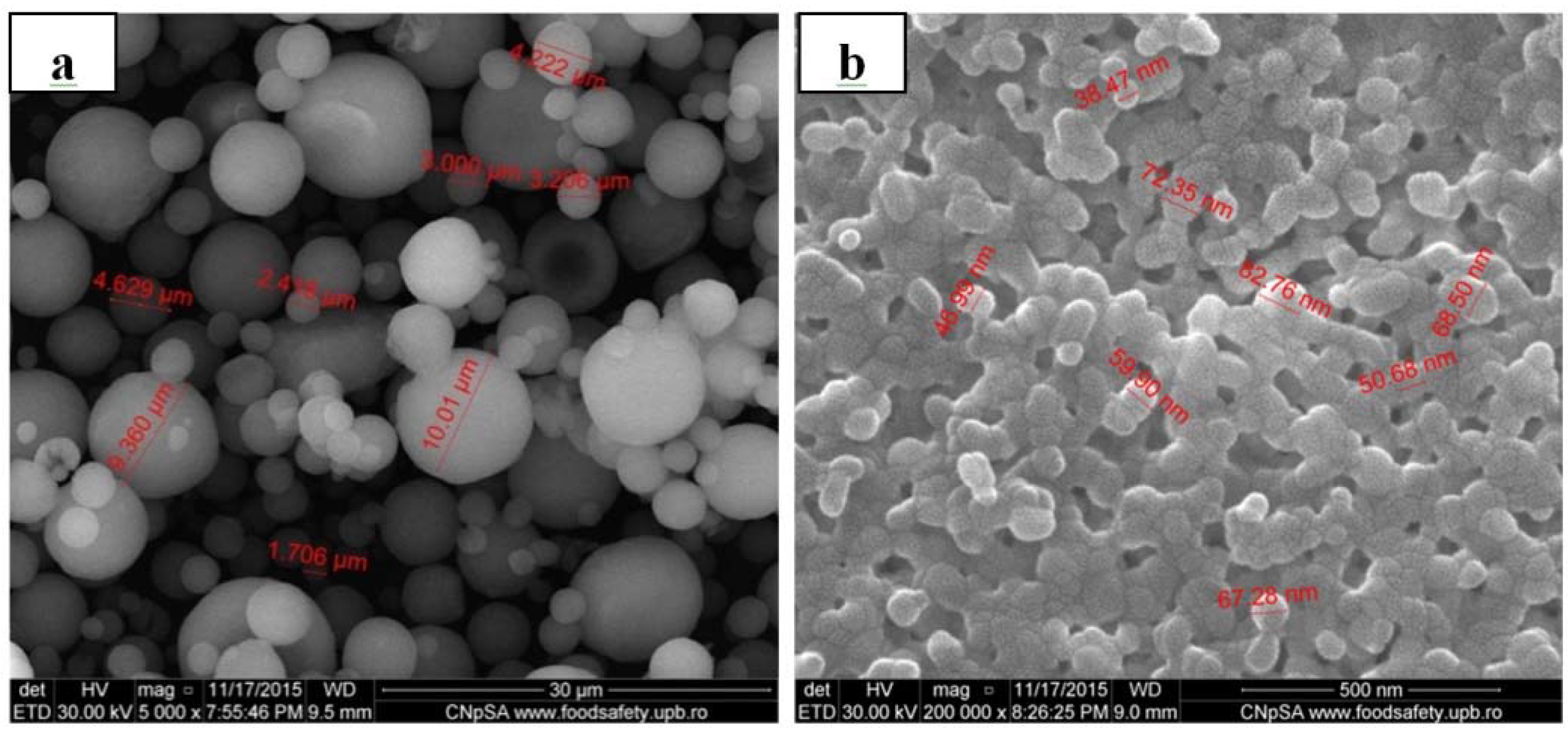 Nanomaterials 06 00011 g002