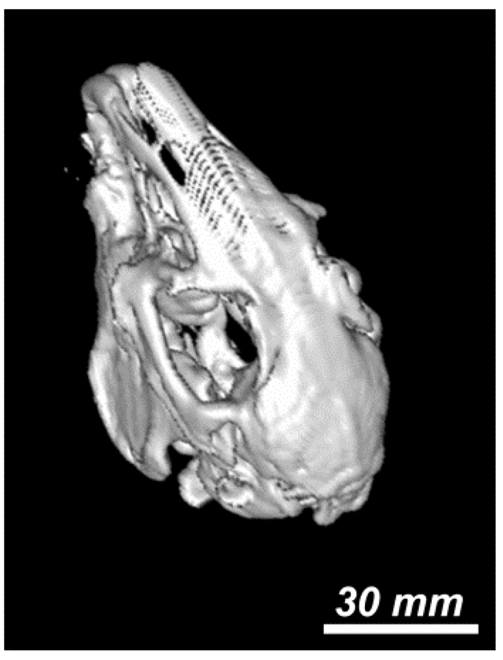 Nanomaterials 06 00011 g005 1024