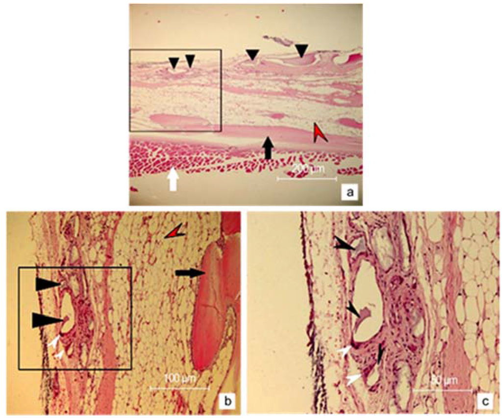 Nanomaterials 06 00011 g008 1024