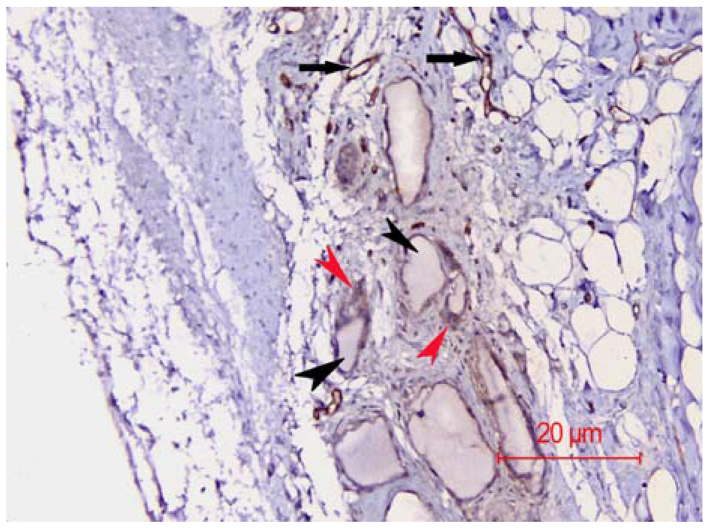 Nanomaterials 06 00011 g009 1024