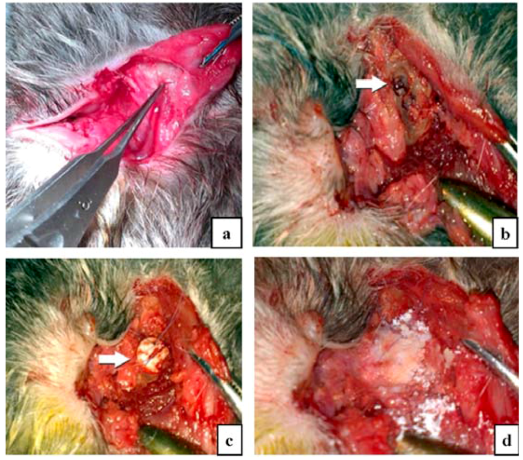 Nanomaterials 06 00011 g010 1024