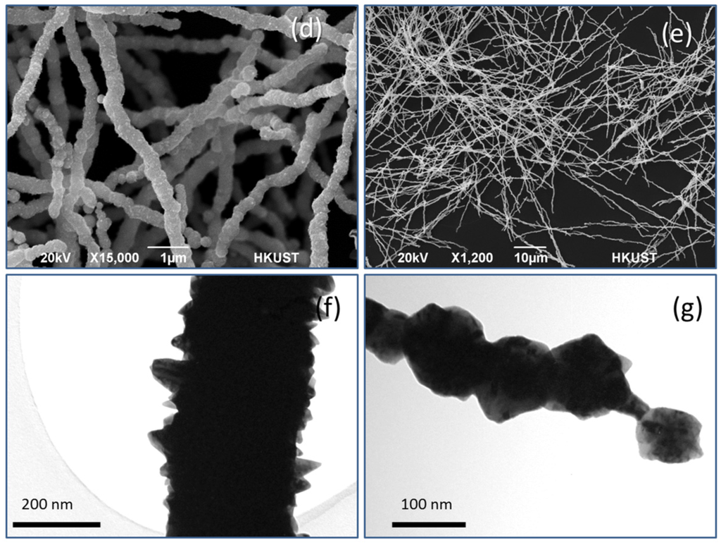 Nanomaterials 06 00019 g001b 1024