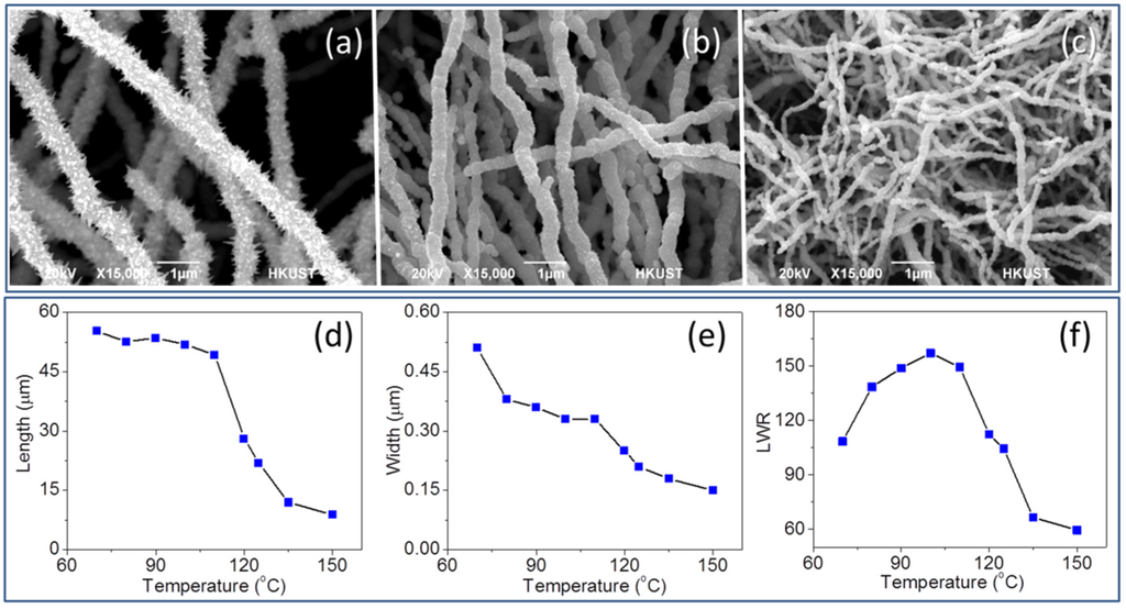 Nanomaterials 06 00019 g002 1024
