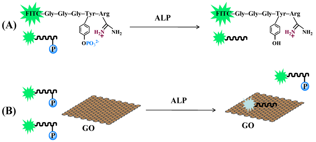 Nanomaterials 06 00020 g001 1024