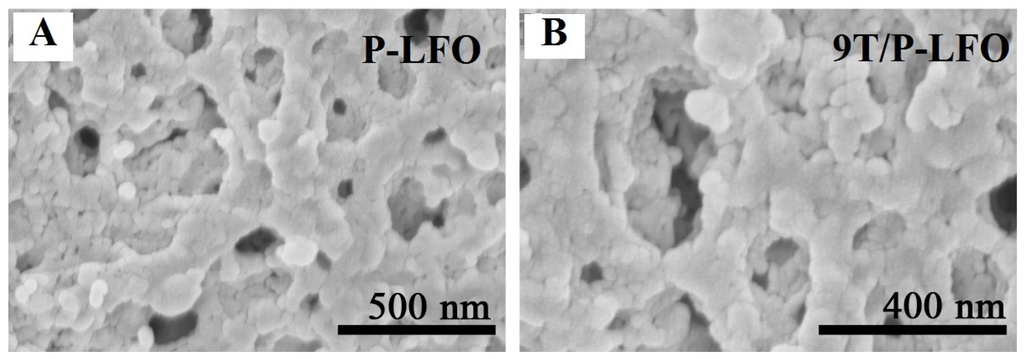 Nanomaterials 06 00022 g002 1024
