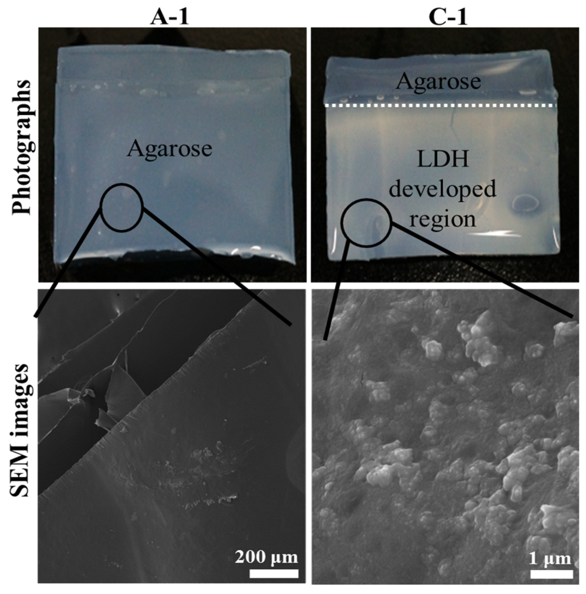Nanomaterials 06 00025 g001