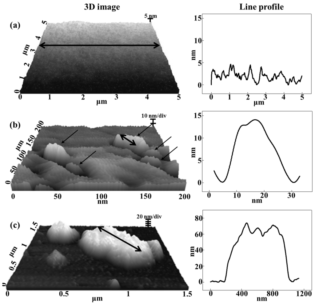 Nanomaterials 06 00025 g003 1024