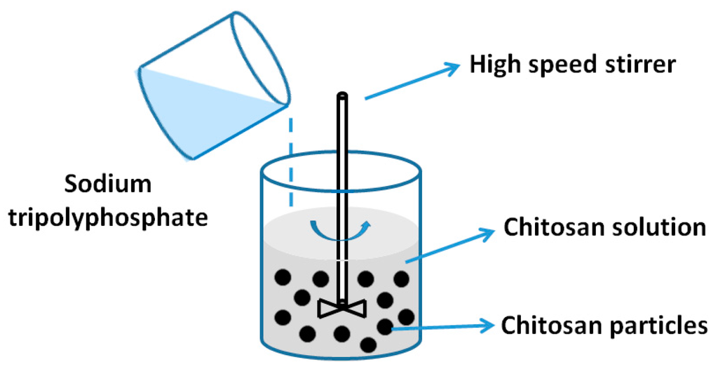 Nanomaterials 06 00026 g005 1024