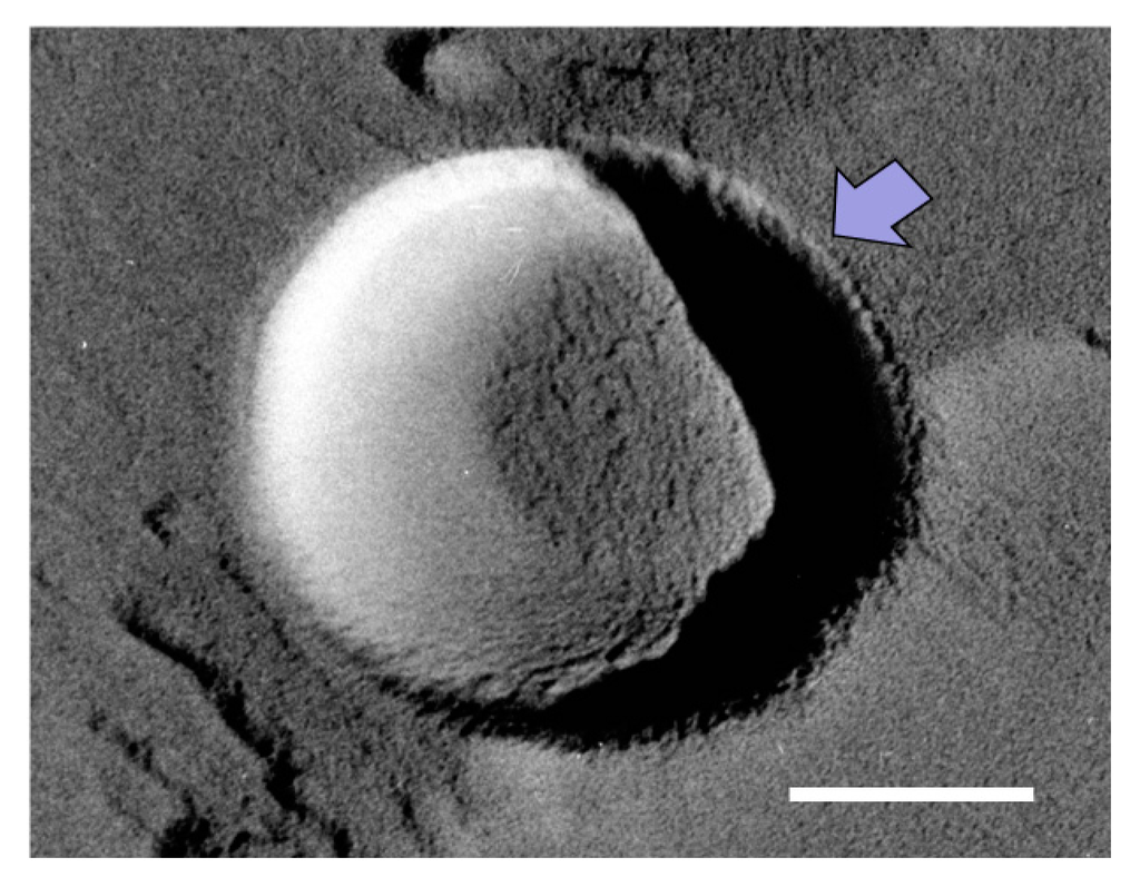 Nanomaterials 06 00031 g008 1024