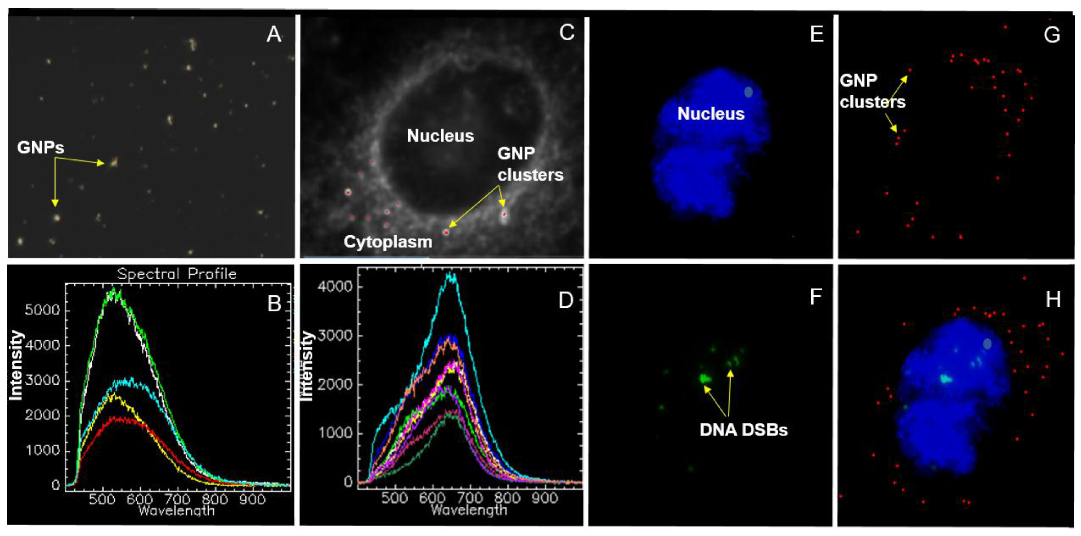 Nanomaterials 06 00048 g002