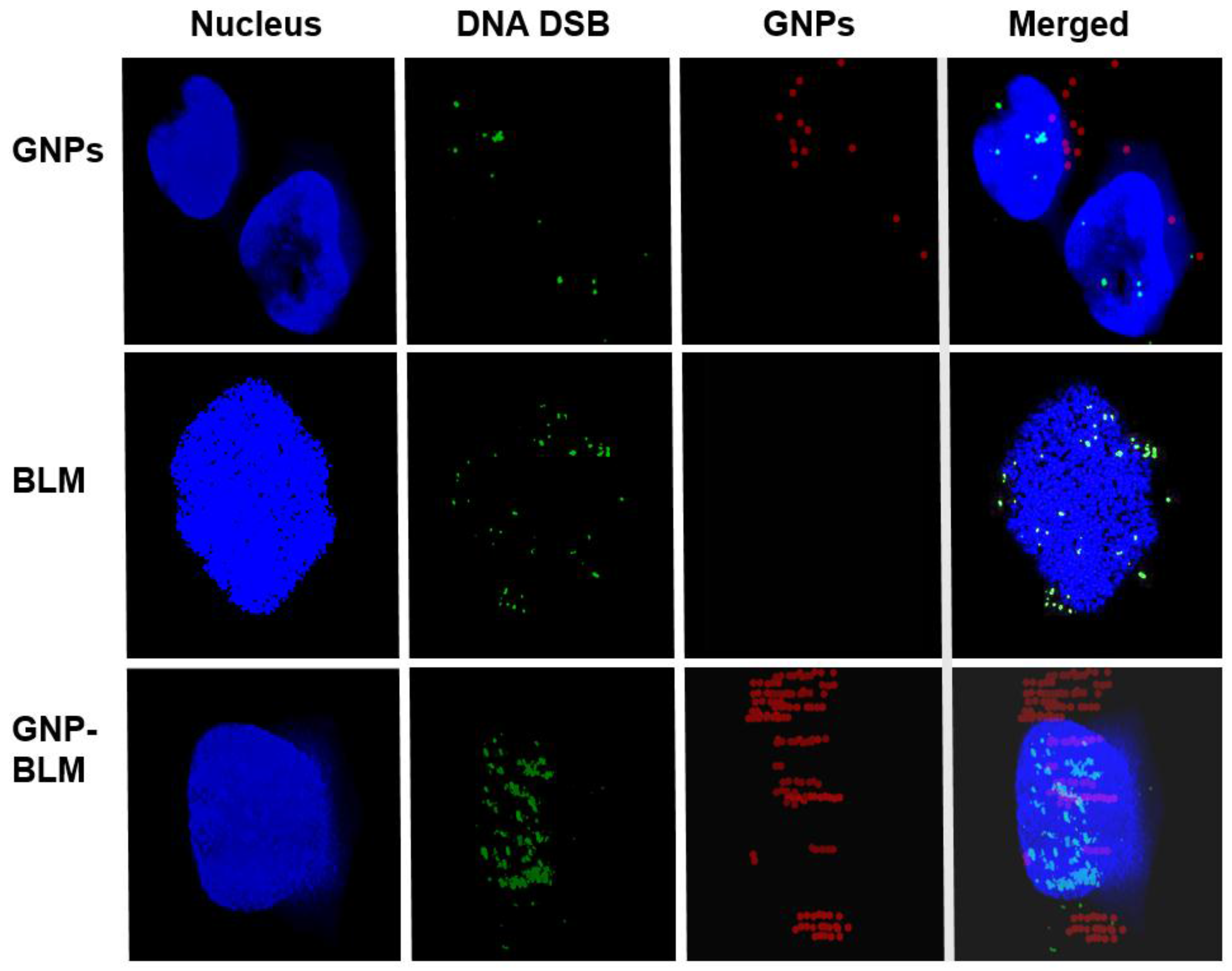 Nanomaterials 06 00048 g007