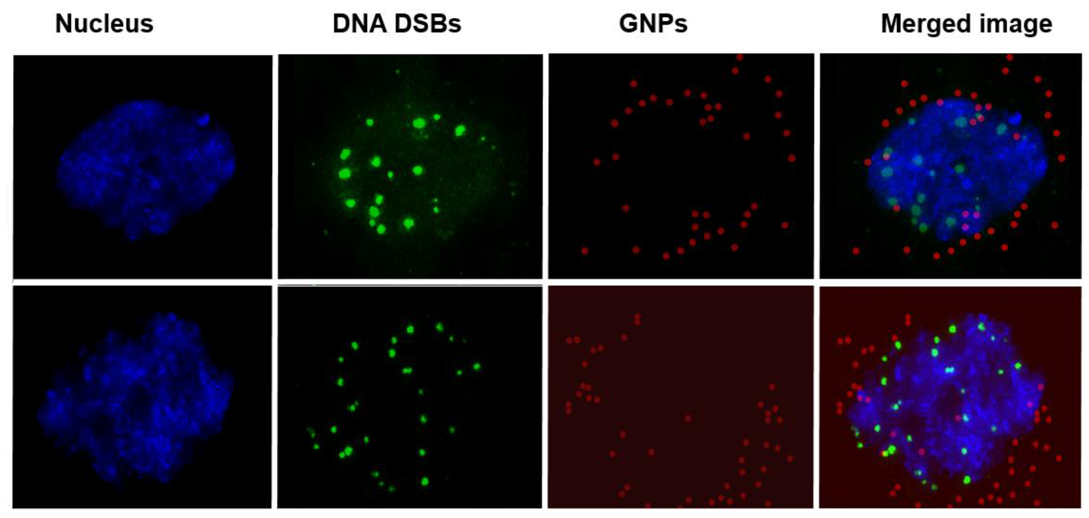 Nanomaterials 06 00048 g009