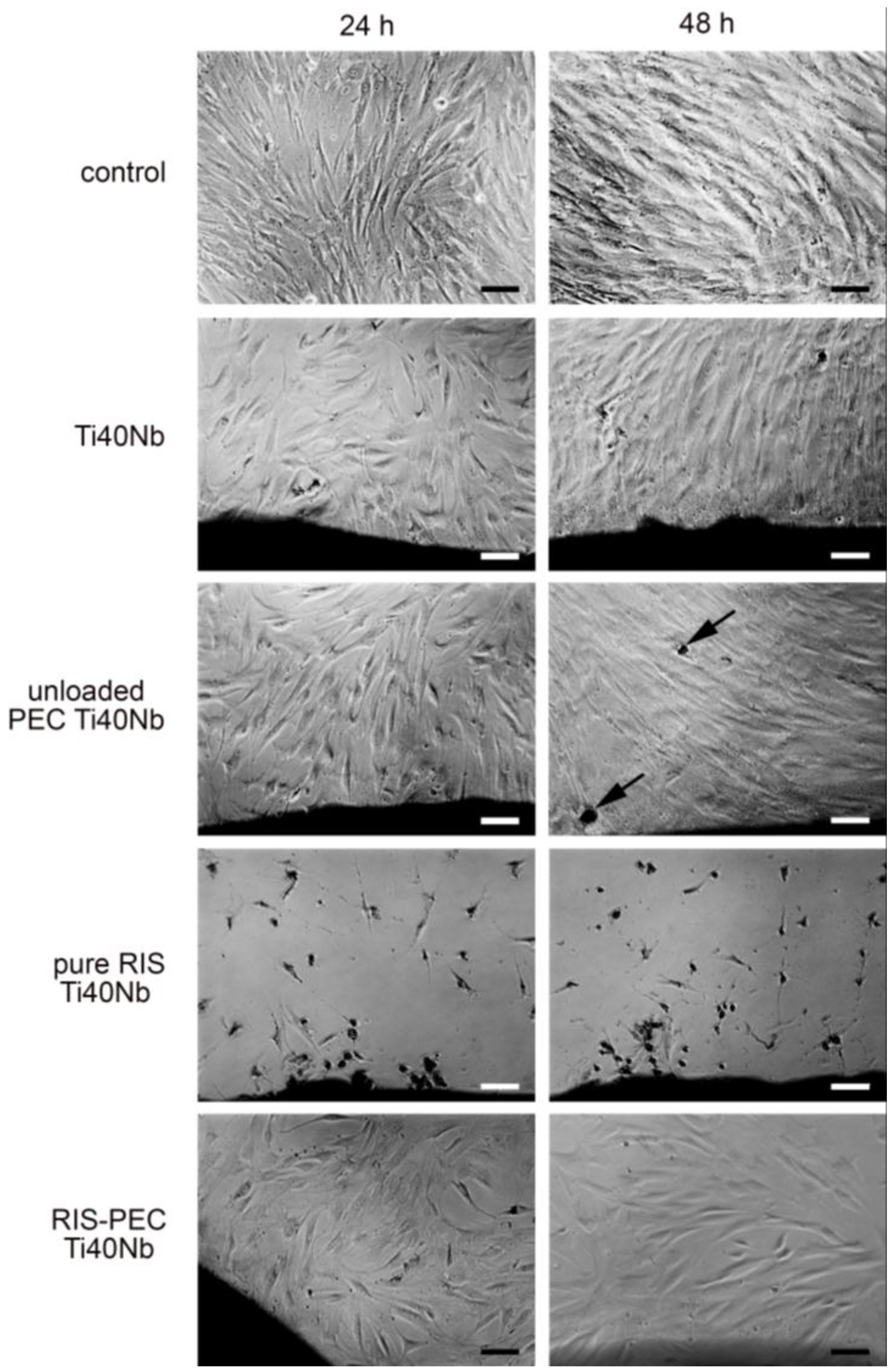 Nanomaterials 06 00053 g016
