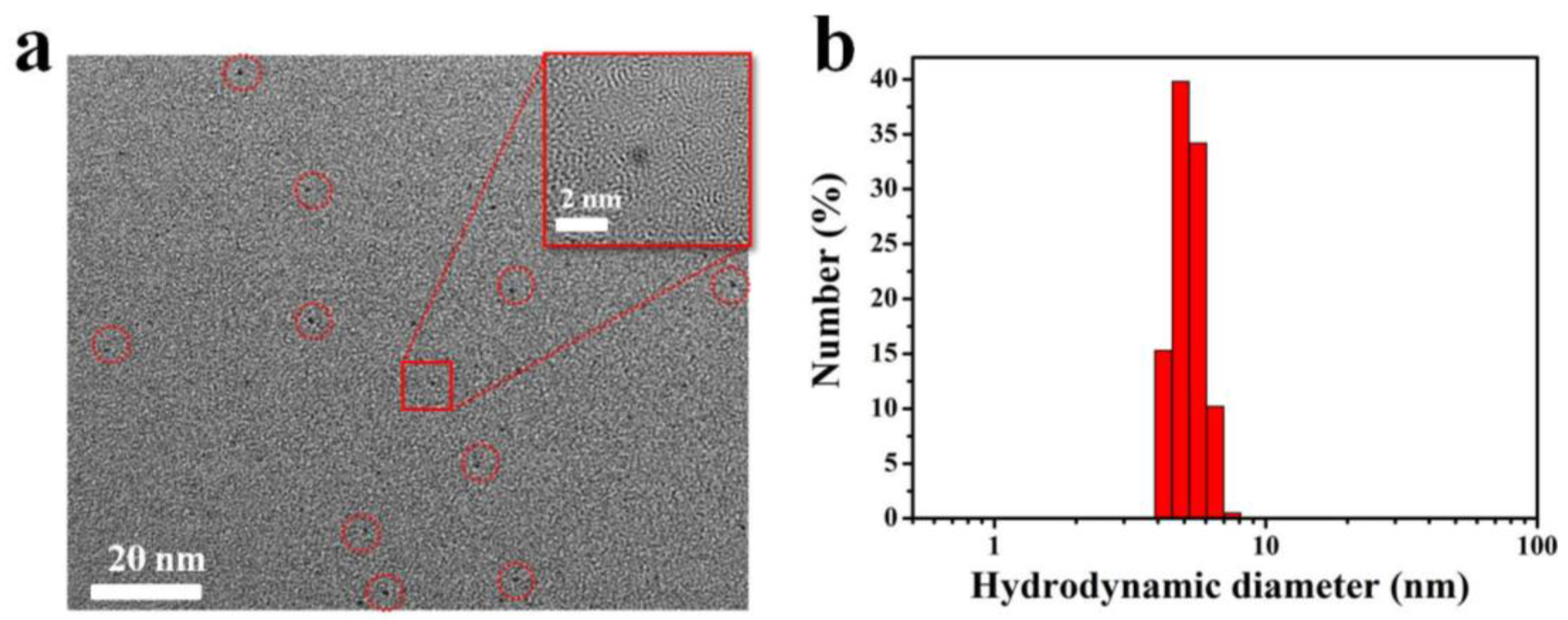 Nanomaterials 06 00065 g001