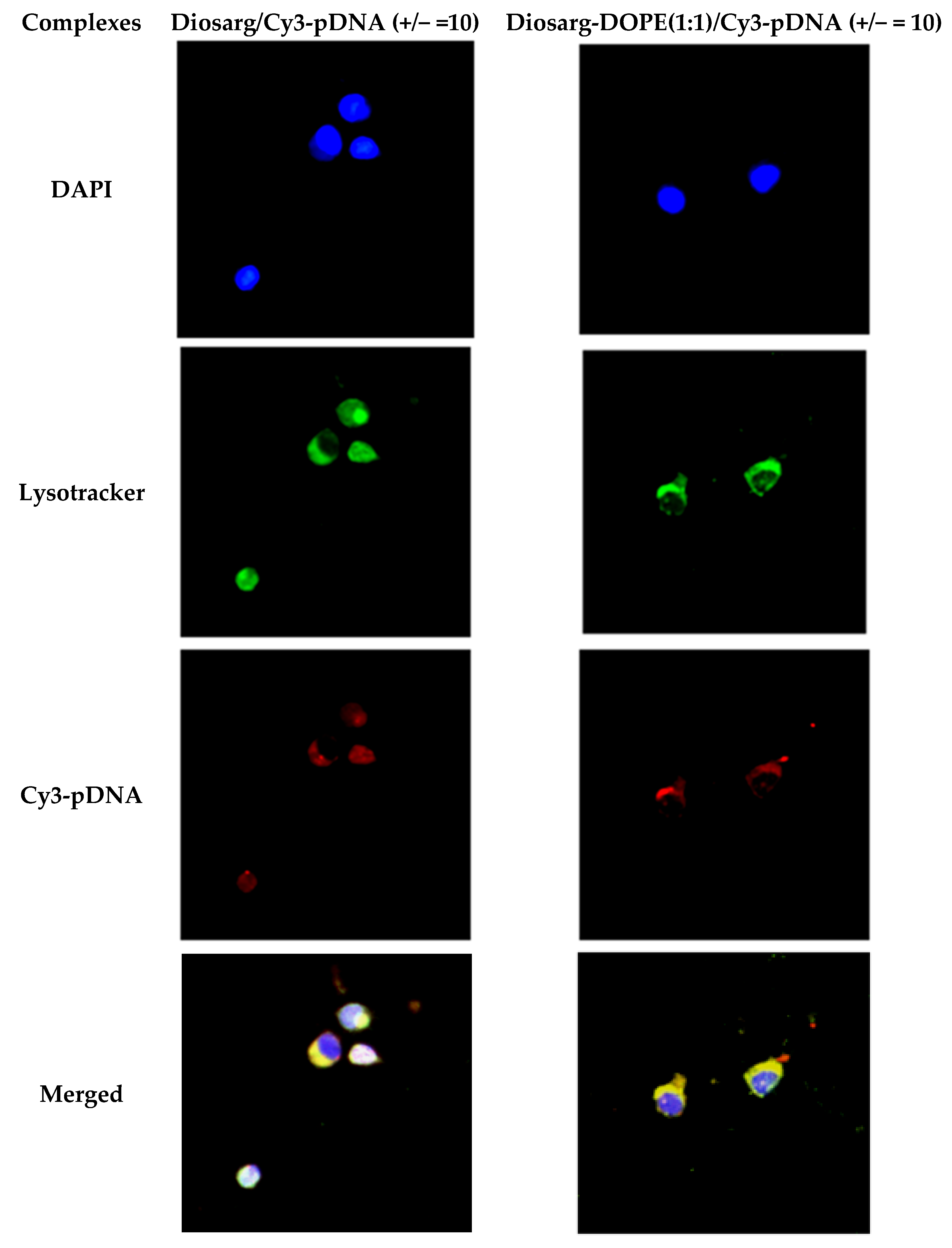 Nanomaterials 06 00069 g008