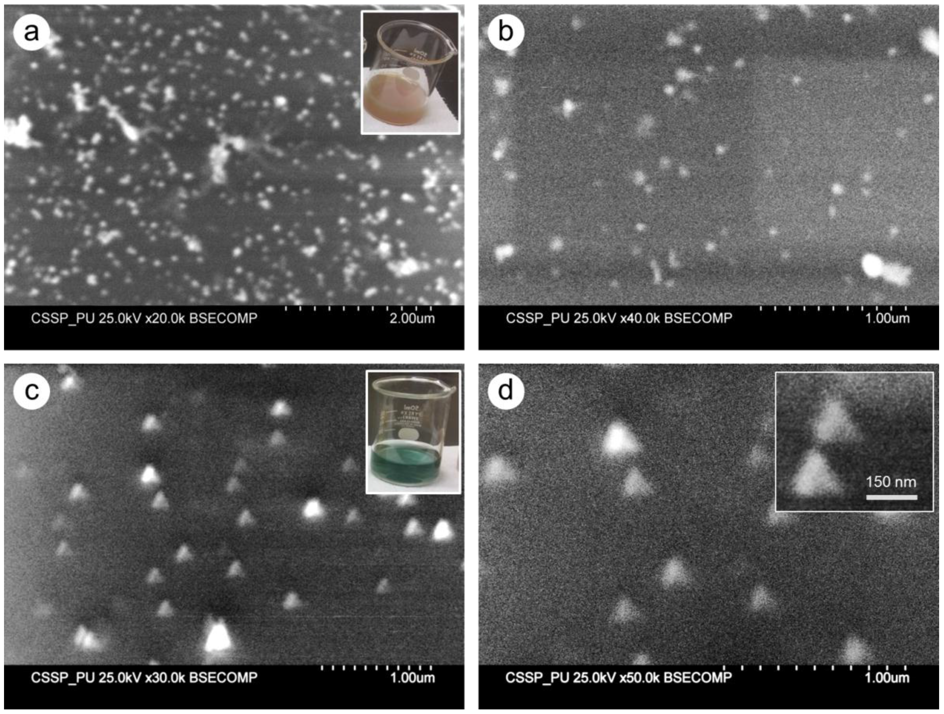 Nanomaterials 06 00074 g003