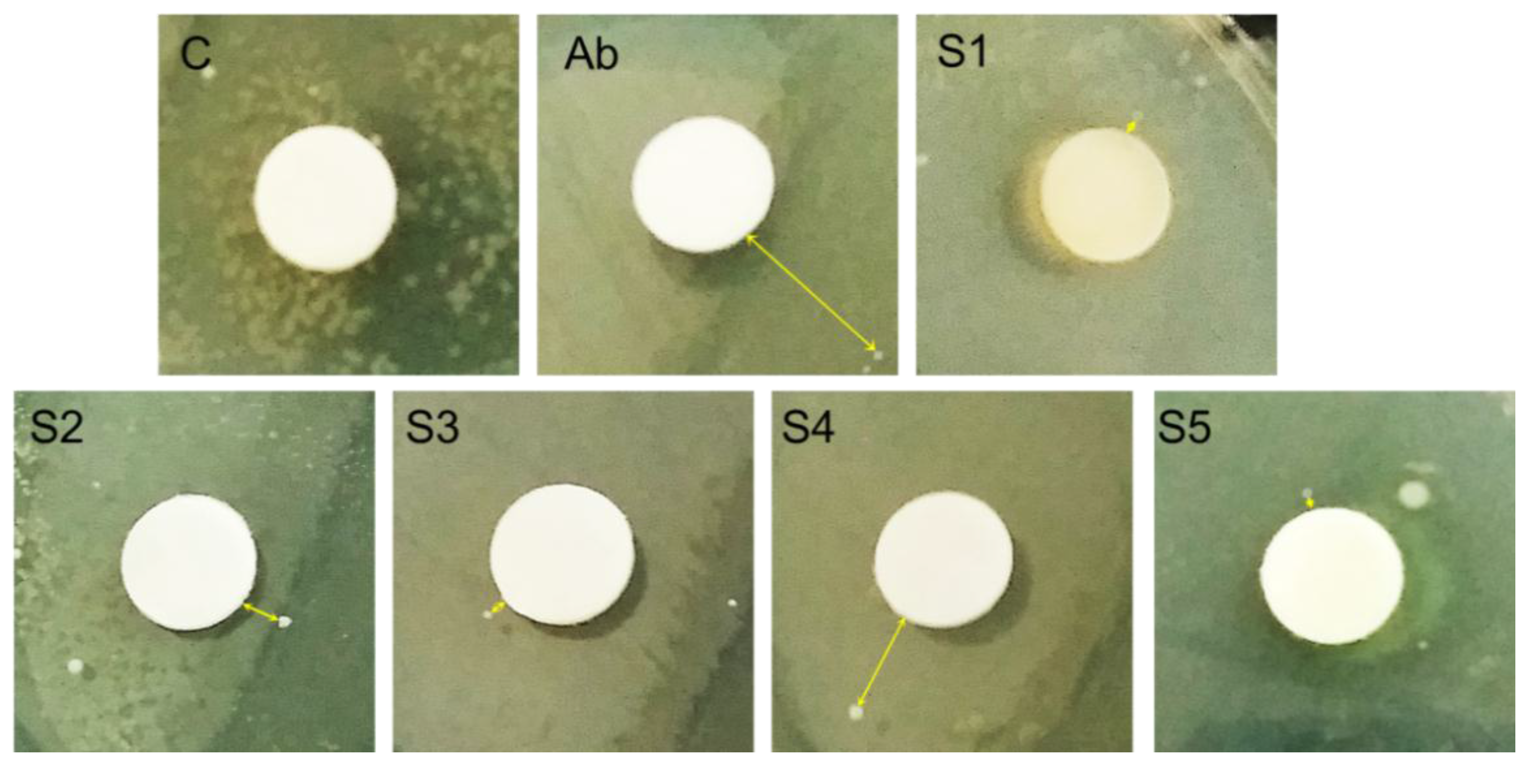 Nanomaterials 06 00074 g006
