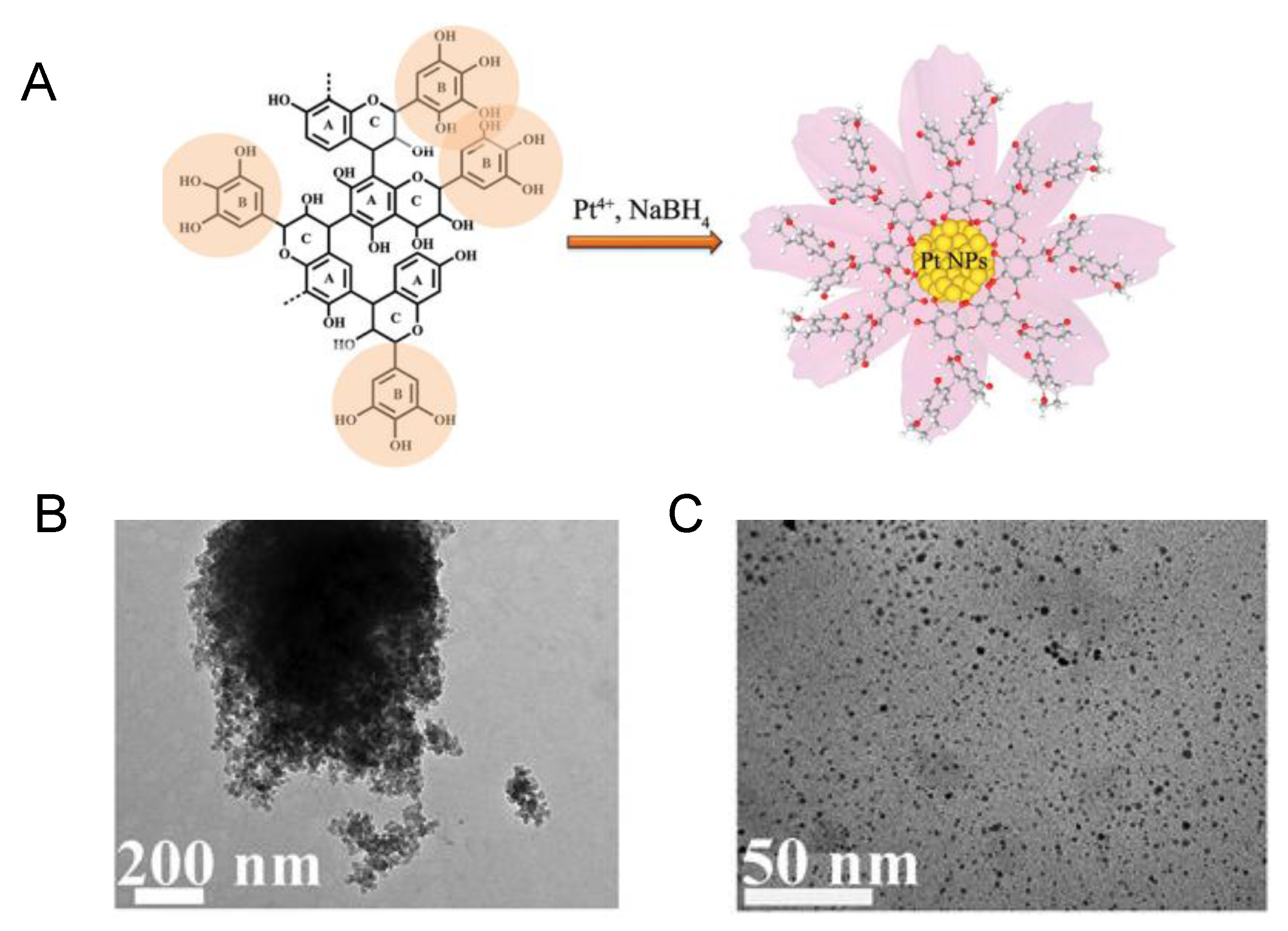 Nanomaterials 06 00084 g011