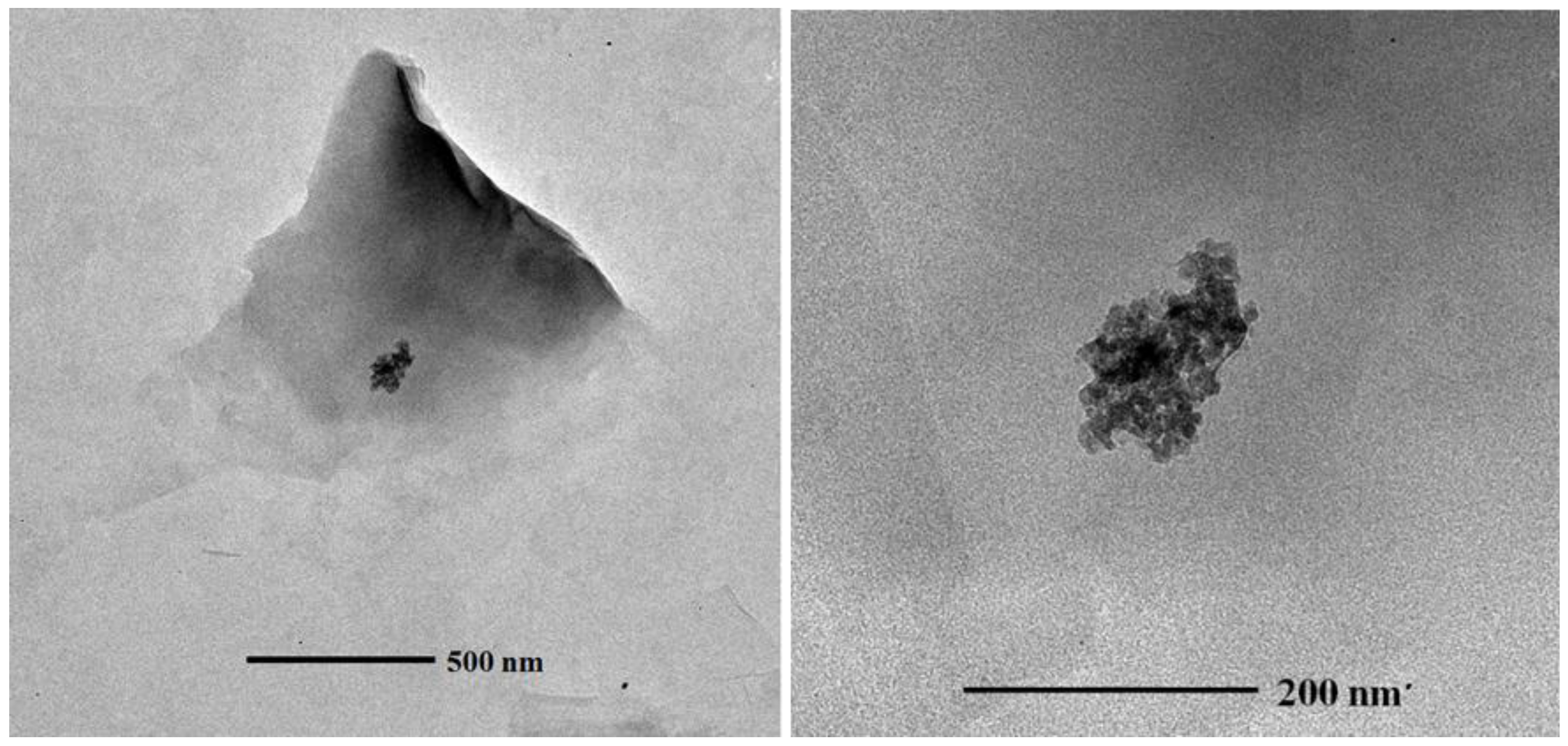 Nanomaterials 06 00090 g006