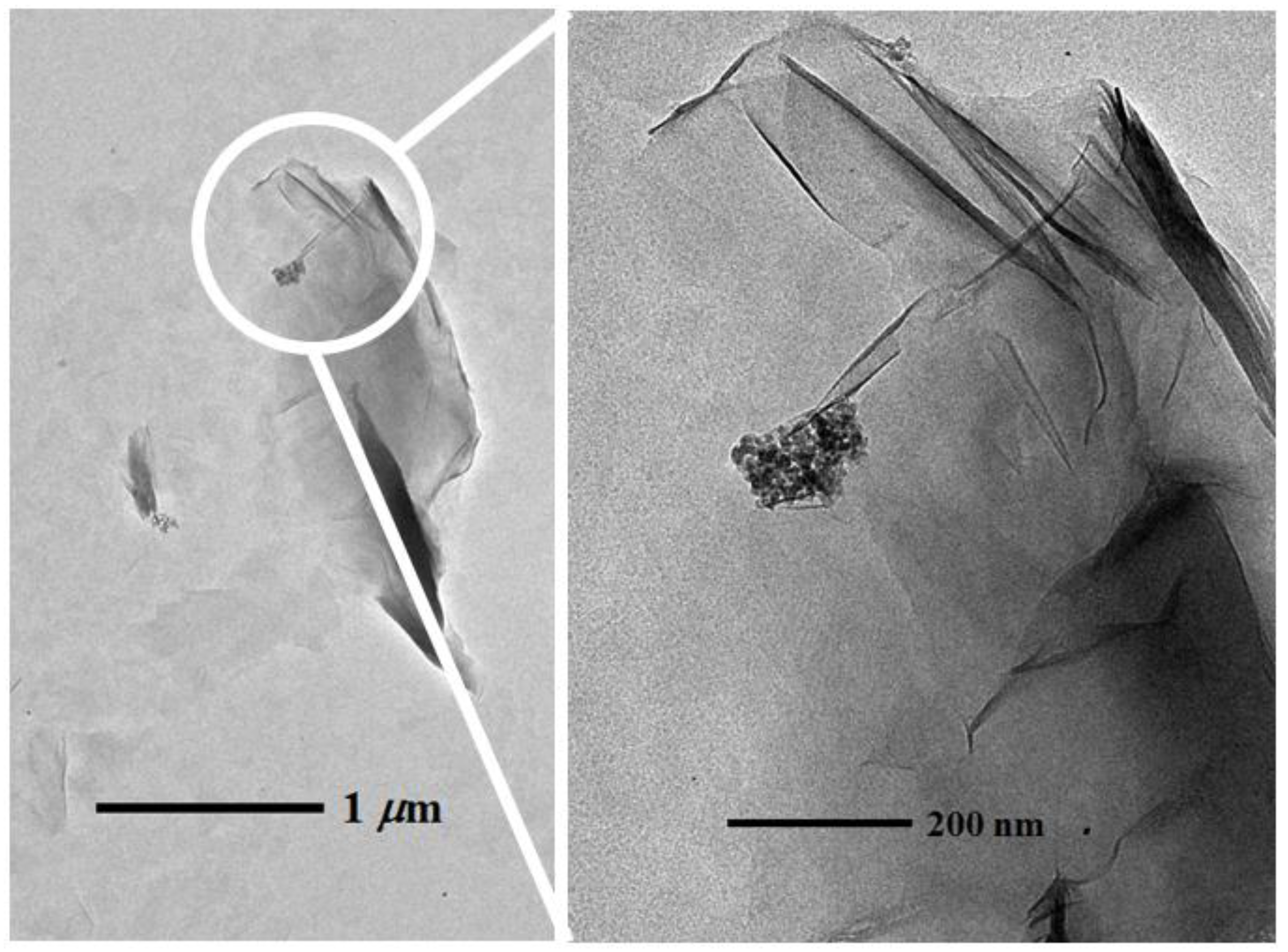 Nanomaterials 06 00090 g008