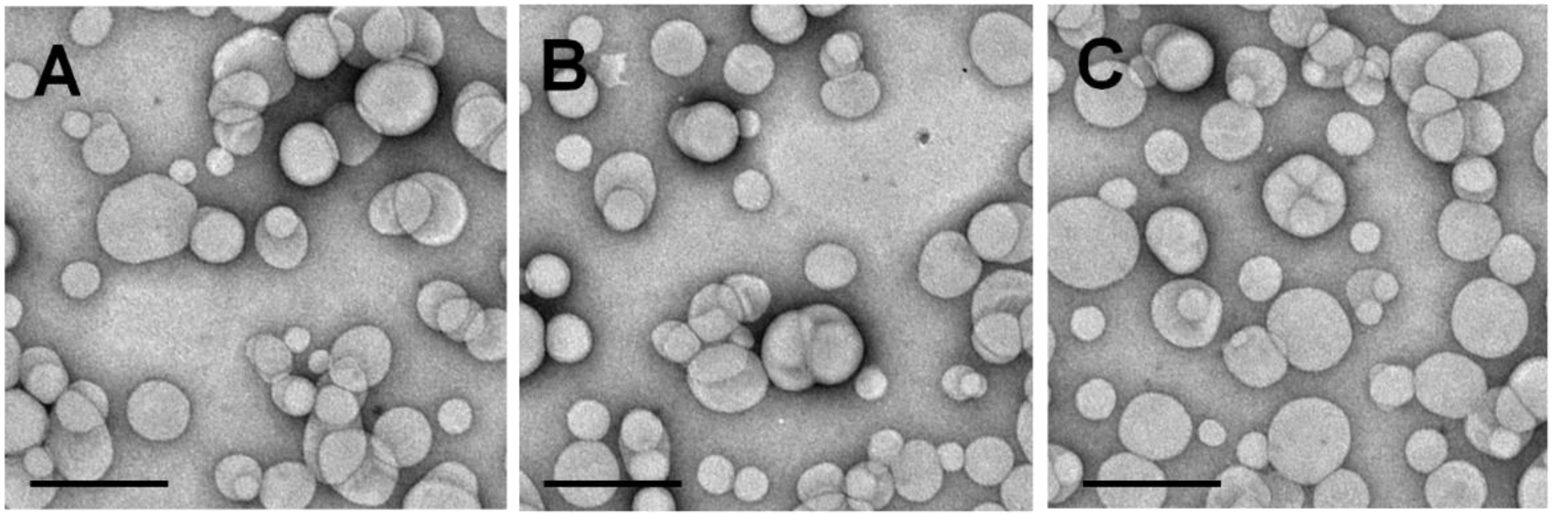 Nanomaterials 06 00092 g001