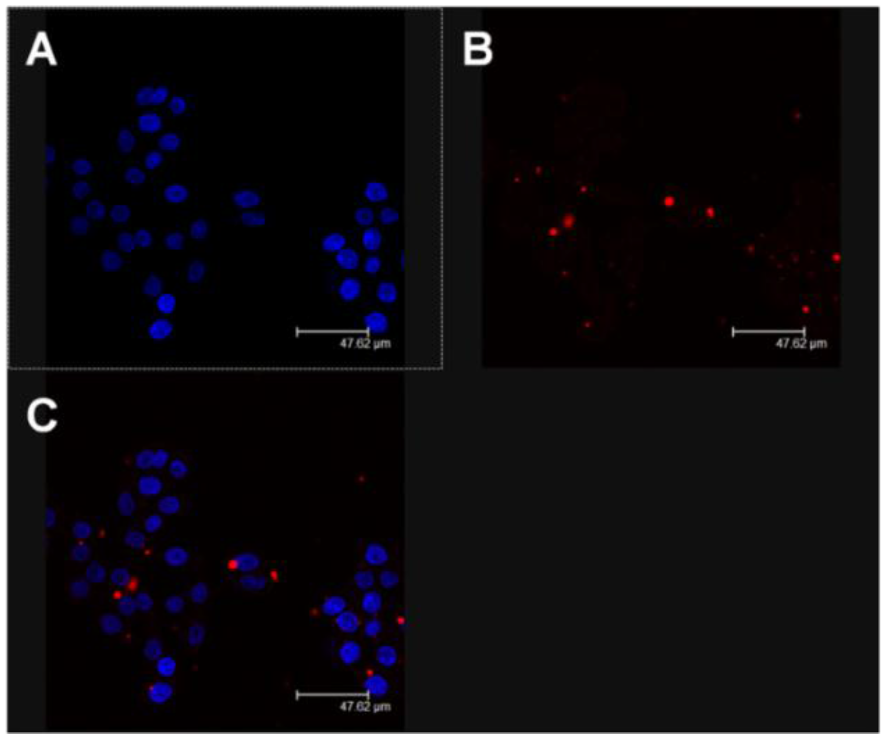 Nanomaterials 06 00092 g005